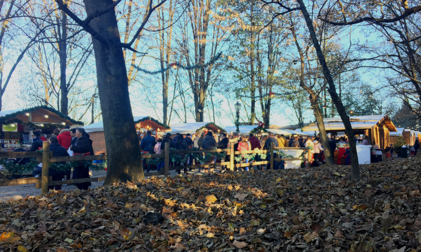 Govone e i mercatini di Natale in camper - Casette mercatini
