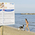 Spiagge per cani in provincia di Ravenna