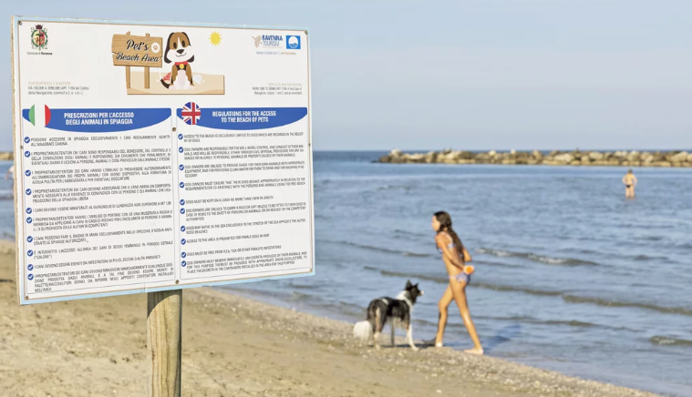 Spiagge per cani in provincia di Ravenna